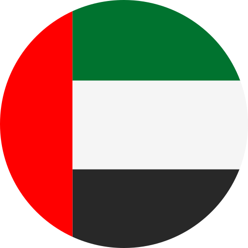 Dubai (UAE) flag